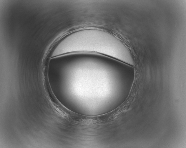 X0000073890197200608110918