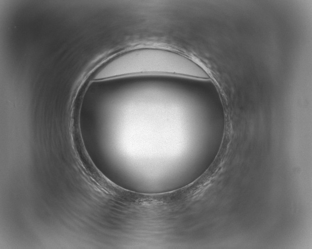 X0000073890199200608110918