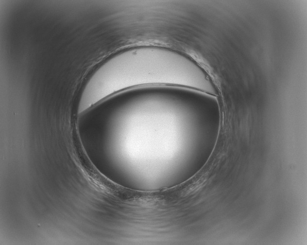 X0000073890201200608110918