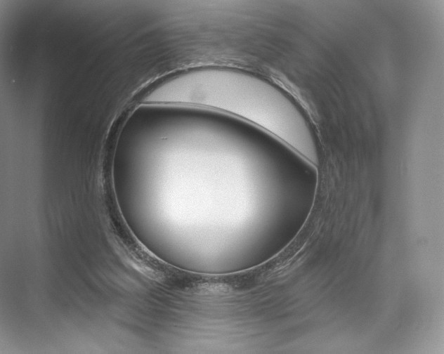 X0000073890203200608110918