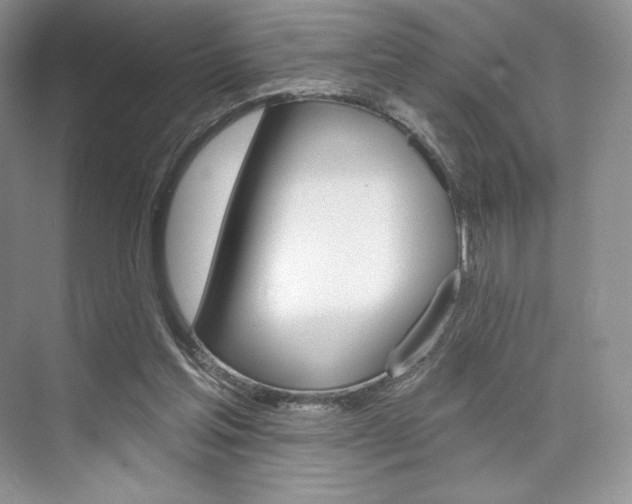 X0000073890205200608110918