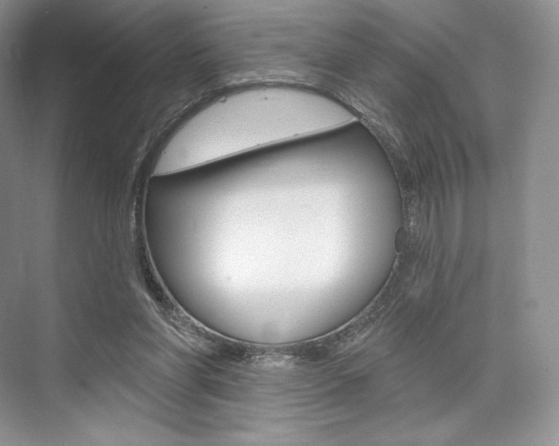 X0000073890206200608110918