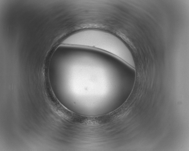 X0000073890207200608110918