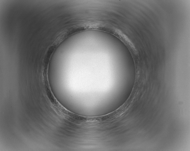 X0000073890209200608110918