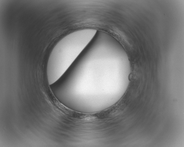 X0000073890210200608110918
