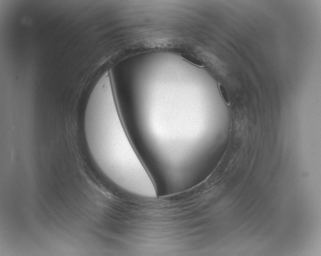 X0000073890211200608110918