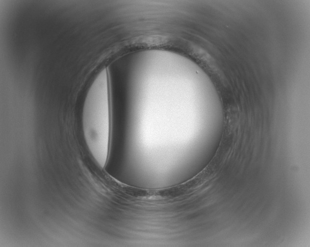 X0000073890212200608110918