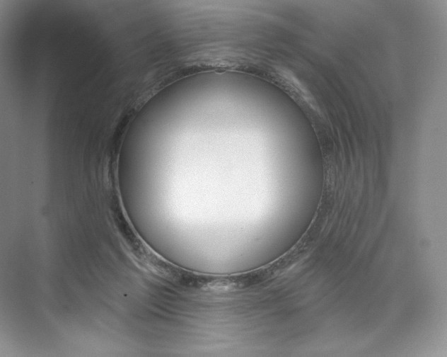 X0000073890213200608110918