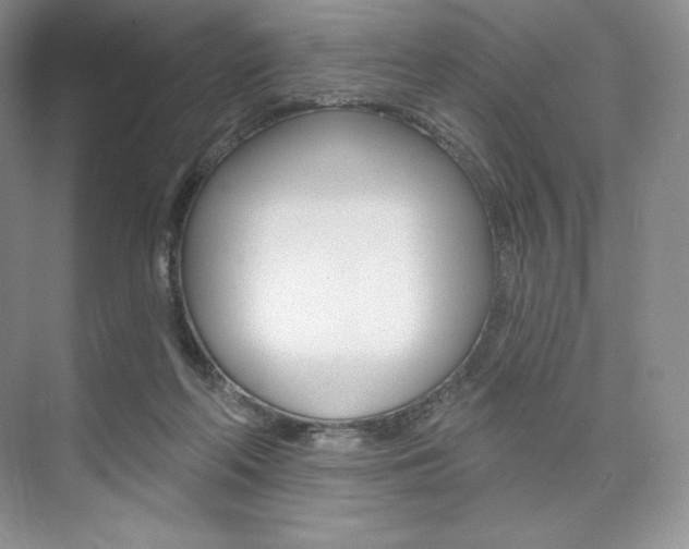 X0000073890214200608110918