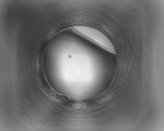 X0000073890215200608110918