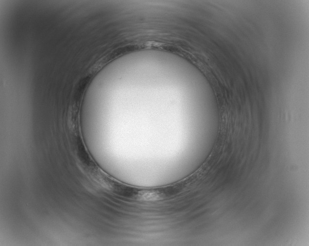 X0000073890218200608110918