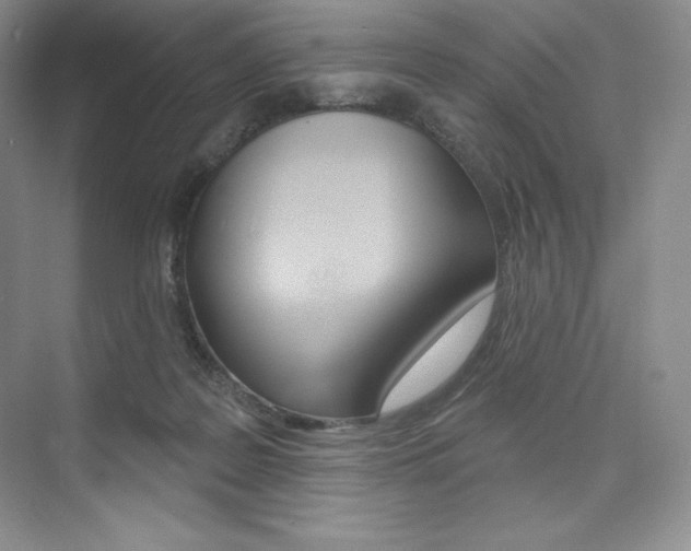 X0000073890219200608110918