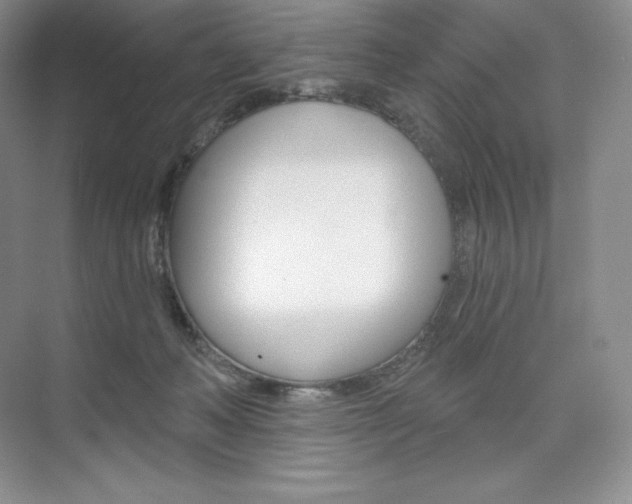X0000073890222200608110918