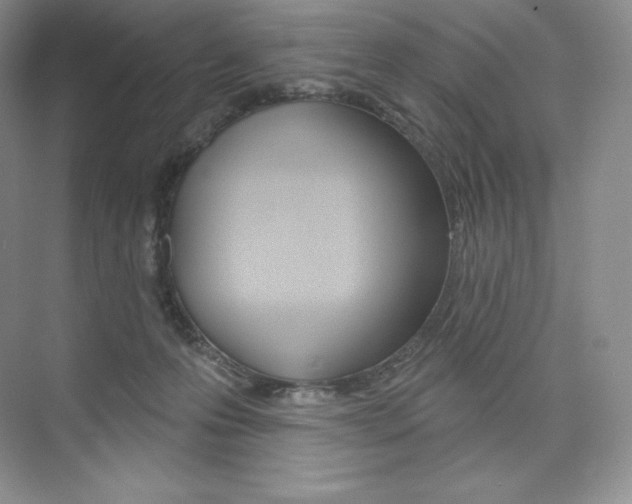 X0000073890223200608110918