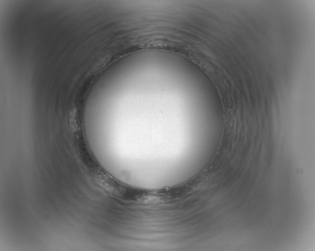 X0000073890224200608110918
