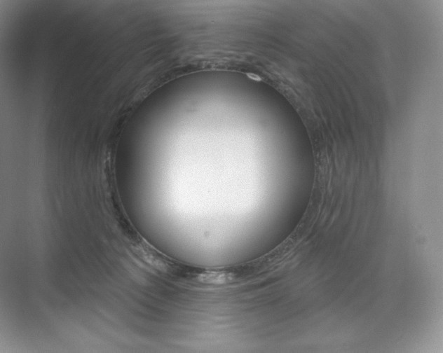 X0000073890225200608110918