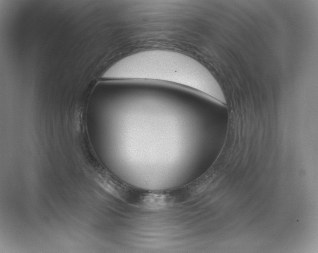 X0000073890227200608110918