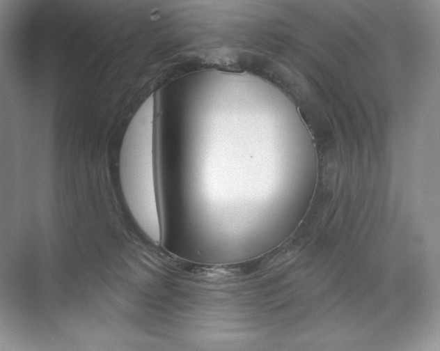 X0000073890229200608110918