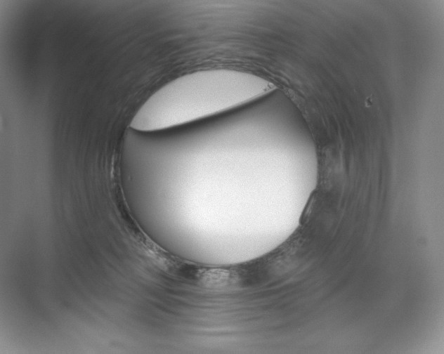X0000073890230200608110918