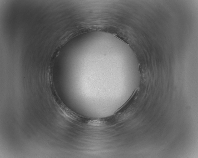 X0000073890231200608110918