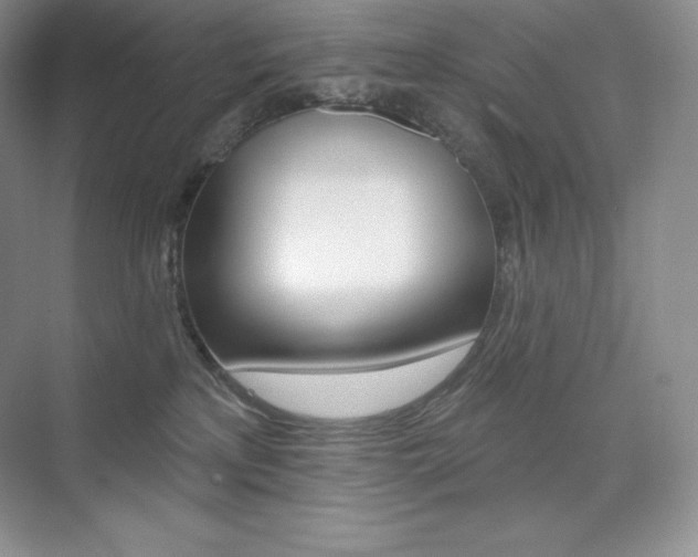 X0000073890233200608110918