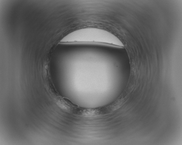 X0000073890235200608110918