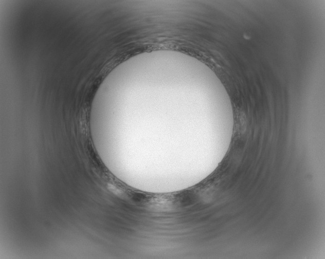 X0000073890236200608110918