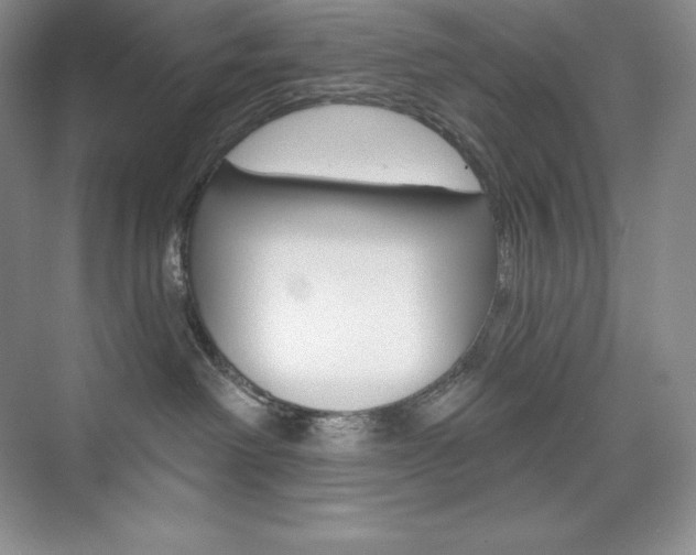 X0000073890238200608110918