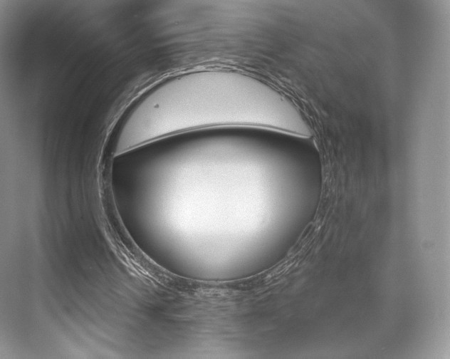 X0000073890242200608110917