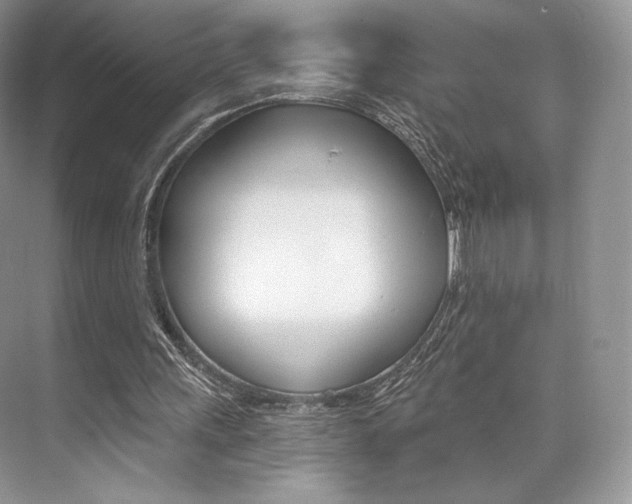 X0000073890243200608110917