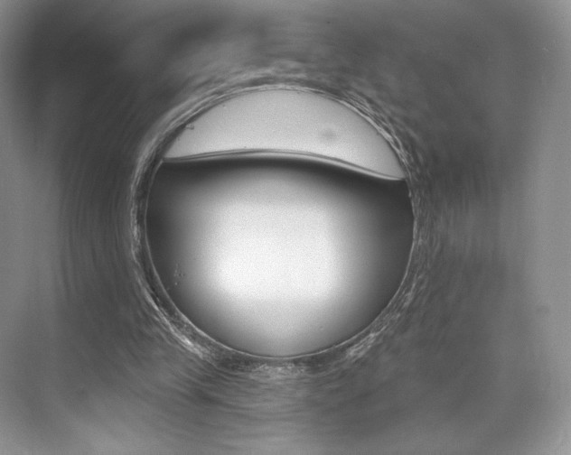 X0000073890245200608110917