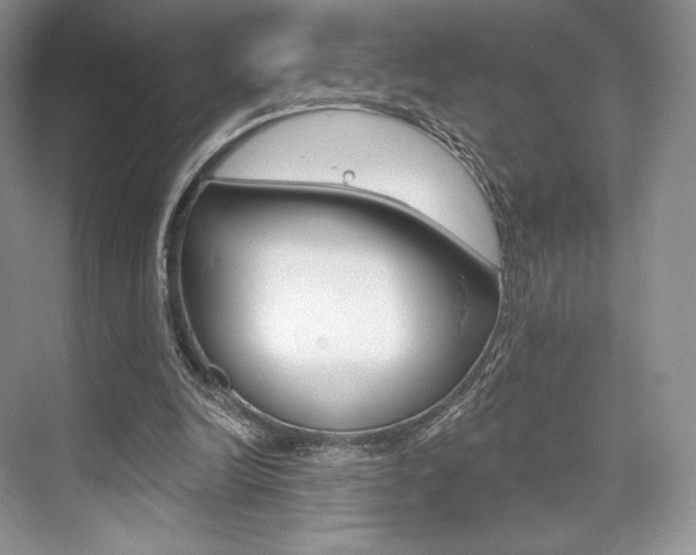 X0000073890246200608110917