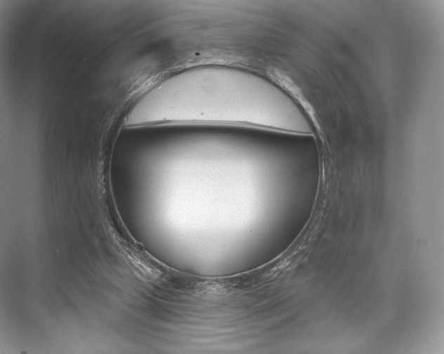 X0000073890249200608110917