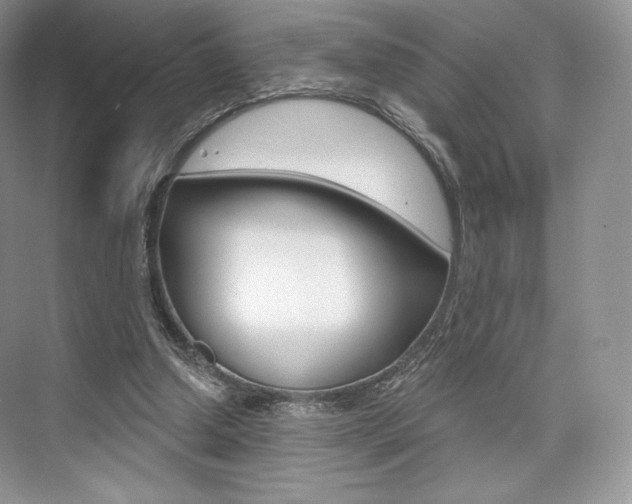 X0000073890250200608110917