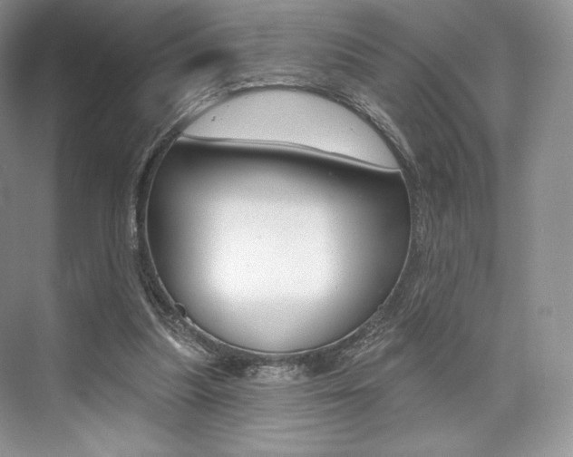 X0000073890251200608110917