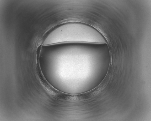 X0000073890253200608110917