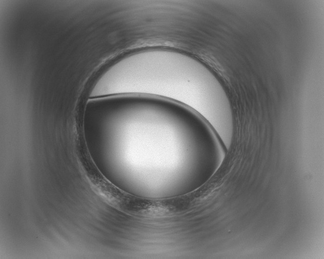 X0000073890256200608110917