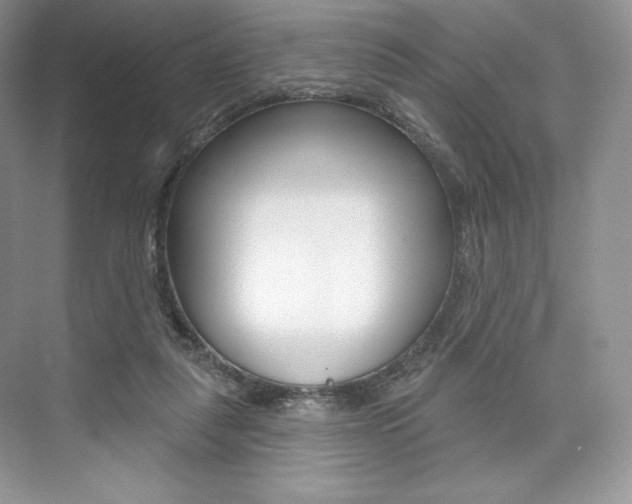 X0000073890259200608110917