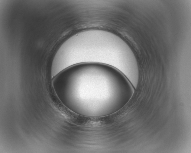 X0000073890260200608110917