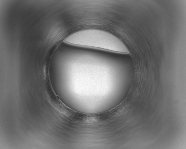 X0000073890262200608110917