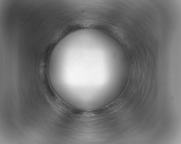 X0000073890263200608110917