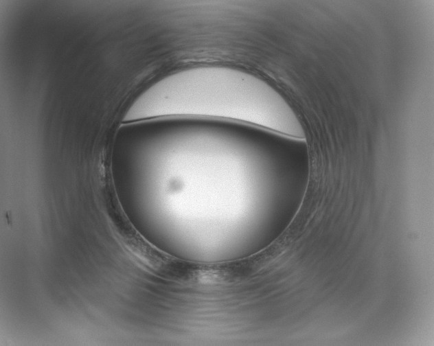 X0000073890264200608110917