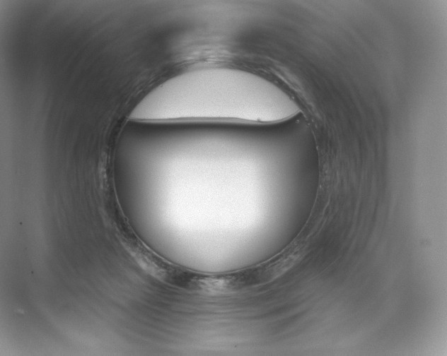 X0000073890265200608110917