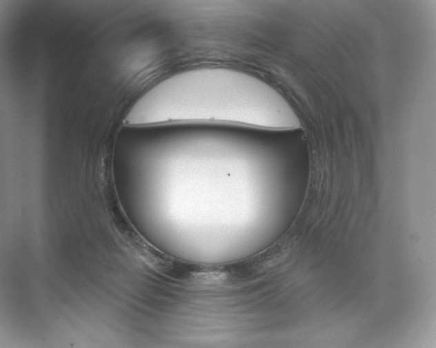 X0000073890266200608110917