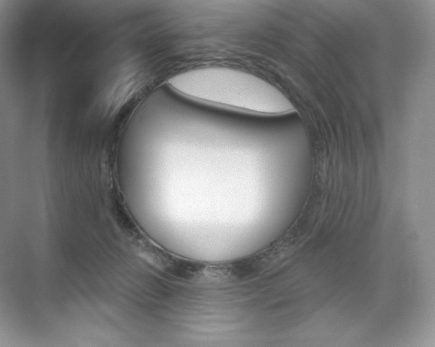 X0000073890270200608110917