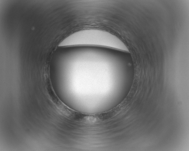 X0000073890272200608110917