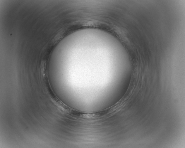 X0000073890273200608110917