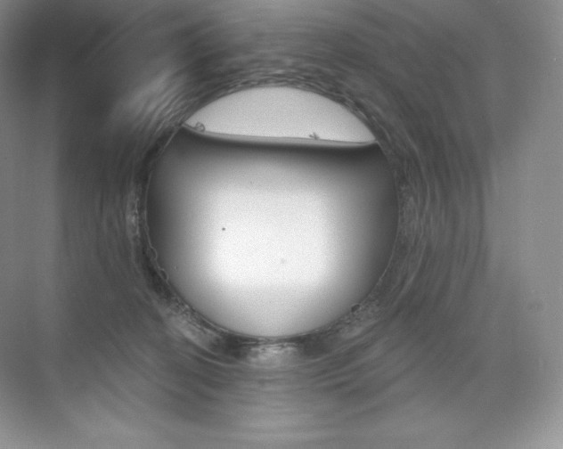 X0000073890274200608110917