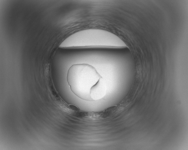 X0000073890278200608110917