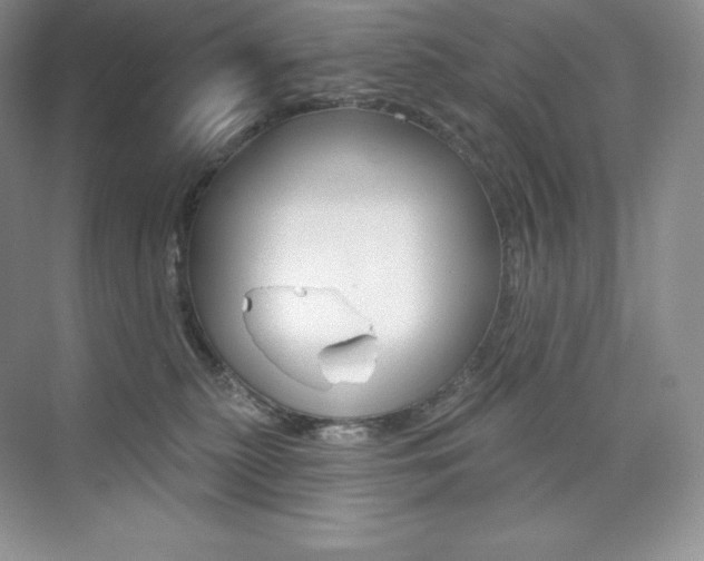 X0000073890279200608110917